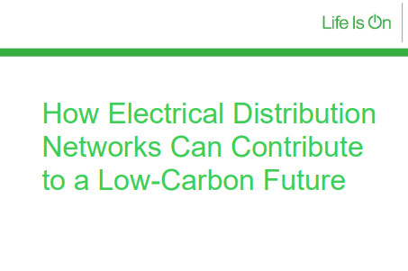 How Electrical Distribution Networks Can Contribute to a Low-Carbon Future
